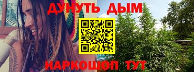 шишки Будённовск