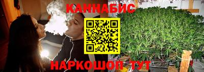шишки Будённовск