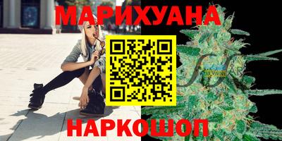 шишки Будённовск