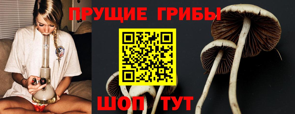 Псилоцибиновые грибы Psilocybine cubensis  Вход с VPN  Феодосия  Галлюциногенные грибы Psilocybine cubensis 