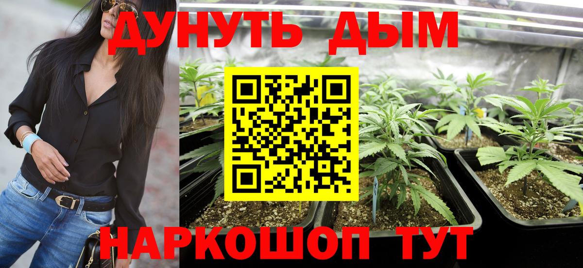 Канабис план Феодосия